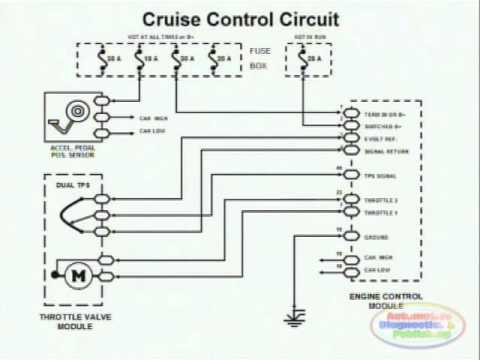 Cruise Control & Wiring Diagram Cruise Control & Wiring Diagram
