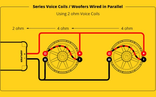 Kicker Dvc Wiring Diagram cvr 12 wiring diagram 