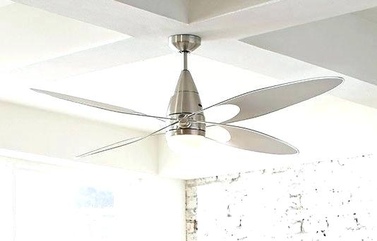 Ceiling Fan Works But Light Does Not