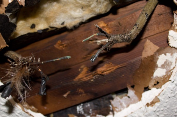 What You Should Know About Old Electrical Wiring In Older Homes