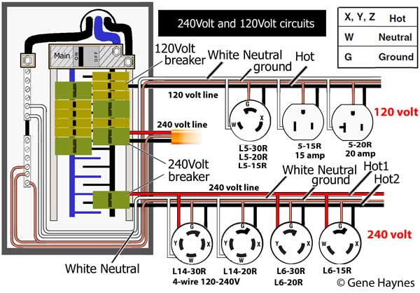 240V Relay Wiring Diagram from www.chanish.org
