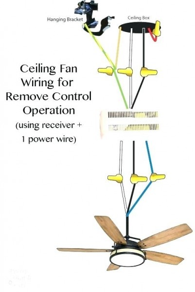 Blue Wire On Ceiling Fan Ceiling Fan Blue Wire Wire A Ceiling Fan