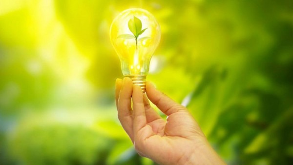 10 Ways To Go Green With Electricity